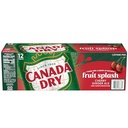 CANADA DRY GIN 120Z 12PK CANS (copy)