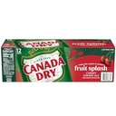 CANADA DRY GIN 120Z 12PK CANS (copy)