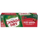 CANADA DRY GIN 120Z 12PK CANS (copy)