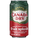 CANADA DRY GIN 120Z 12PK CANS (copy)