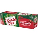 CANADA DRY GIN 120Z 12PK CANS (copy)