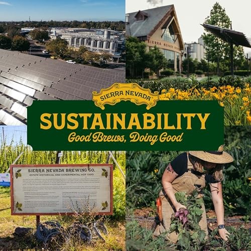 SIERRA NEVADA TRAIL PASSHAZY 12OZ C 4/6