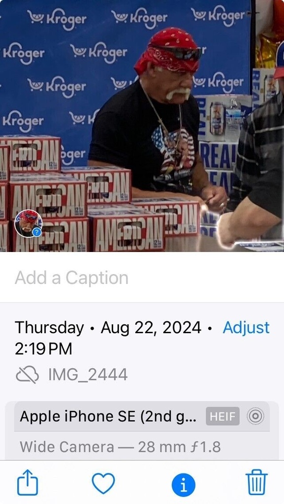 REAL AMERICAN BEER 12OZ 12PK CANS