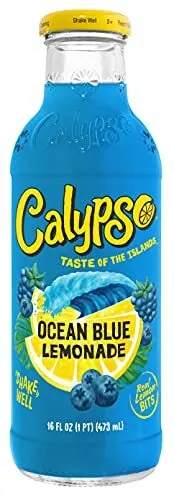 [9D6501] CALYPSO BLUE 16OZ BOTTLE