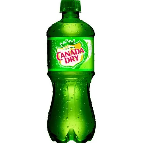 CANADA DRY GIN 20OZ BOTTLE