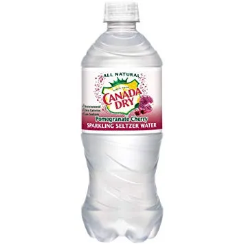 [9D1801] CANADA DRY SELT POMG 20OZ 1/24