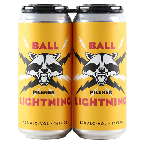 CATSKILL LIGHTING 16OZ 4PK CANS
